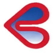 Bauer International jobs