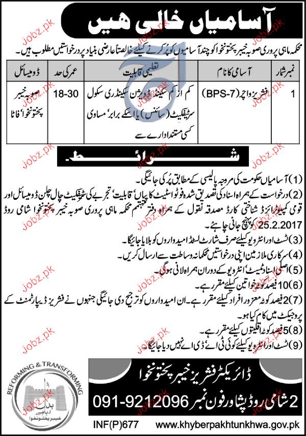 Fisheries Watchers Job in Fisheries Department 2024 Job Advertisement