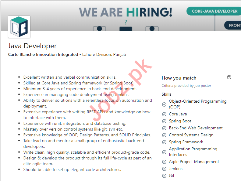JAVA Developer & Front End Developer Jobs in Lahore Division 2024 Job