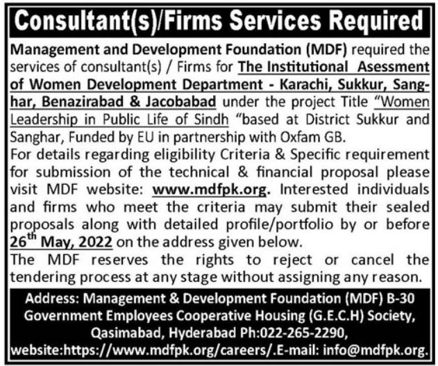 Management & Development Foundation Consultant Jobs 2022 2024 Job