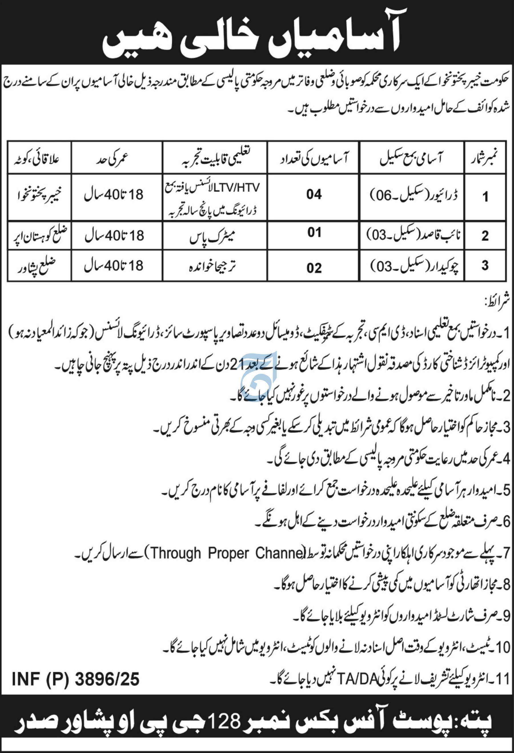 Government Organization Peshawar Jobs 2025