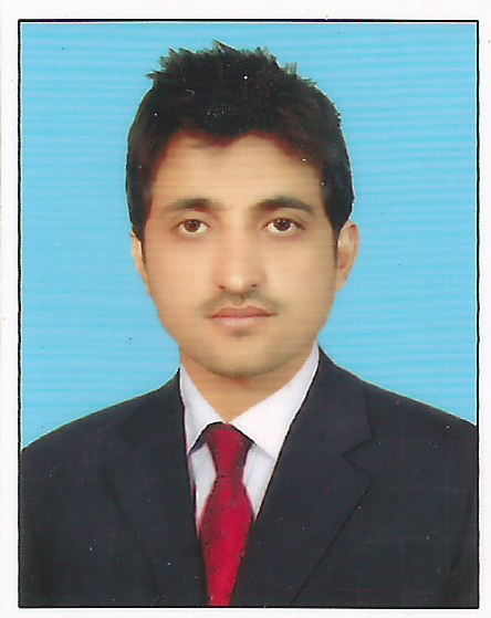 Naeem Sultan Awan Profile