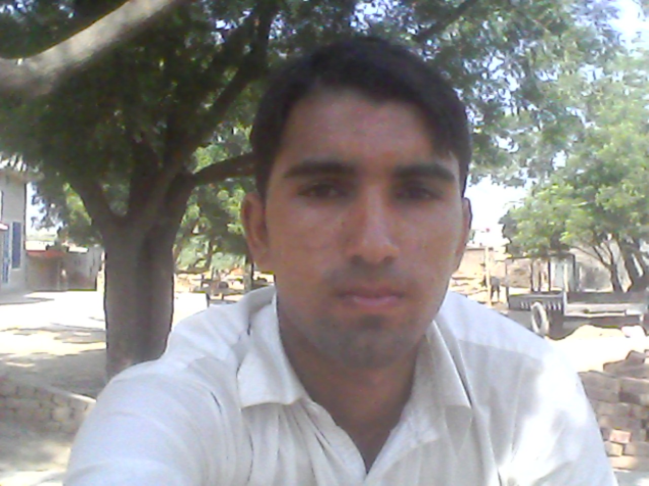 MUHAMMAD Asif Profile MUHAMMAD Asif Profile