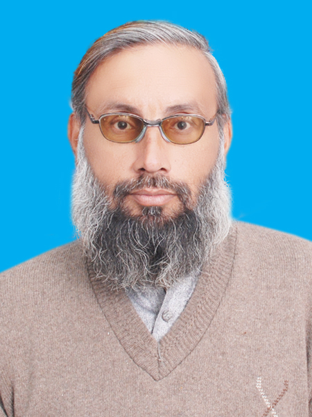 Muhammad Amir Weddings