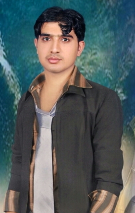 Abdul Razzaque Razzaque Data Entry