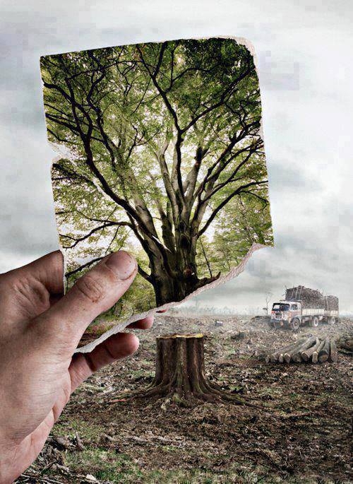 Sharyar Khan Profile