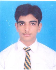 Haider Abbas Business Analysis