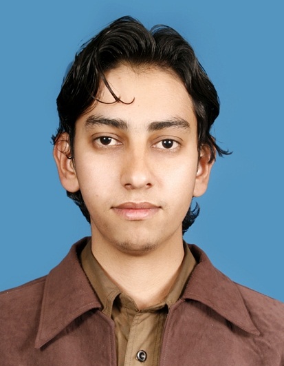 Zahir Shah Data Entry