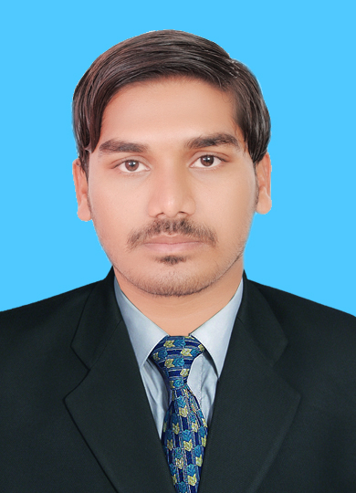 Saddam Hussain Malik Accounting