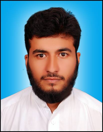 Muhammad Wilayat Shah Software Development