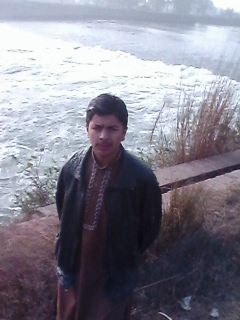 Naveed Qamar Profile Naveed Qamar Profile