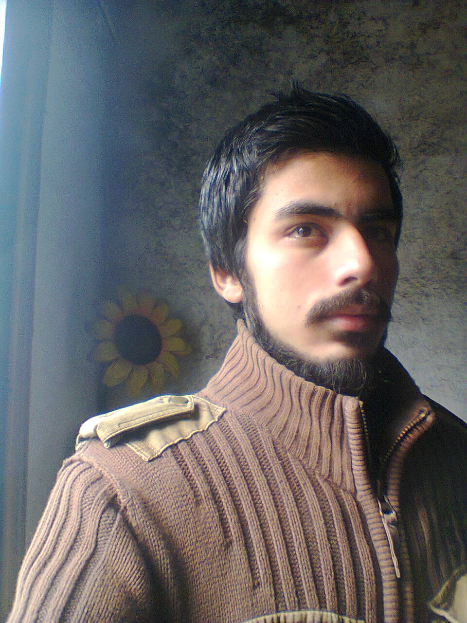 Hassan Ali Profile Hassan Ali Profile