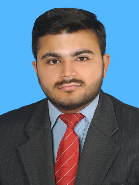 Hafiz Muhammad Waqas Arshad Finance, Business Analysis, Excel