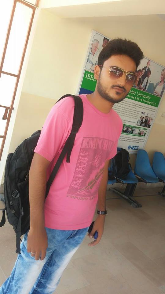 Mohsin Ansari Data Entry