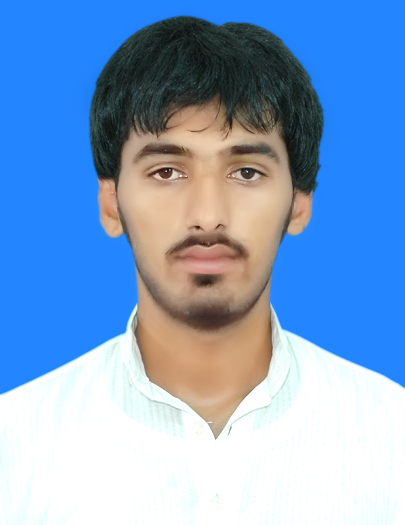 Waqar Rabi Profile
