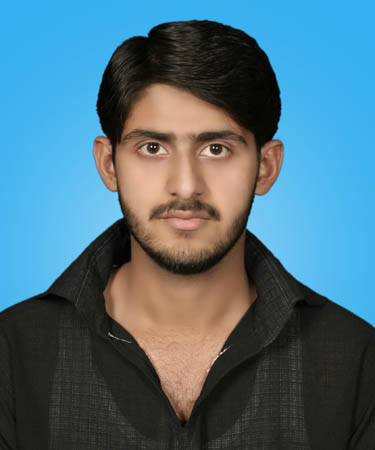Danial Aurangzeb Data Entry