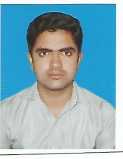 Sajjad Hussain Visa / Immigration