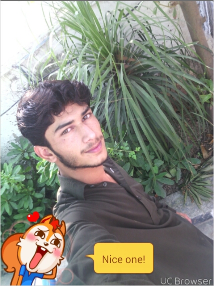 Latif Baloch Bulk Marketing