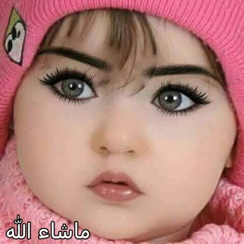 Muhammad Iqbal Freelance