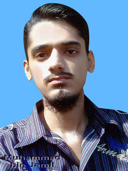 Muhammad Bin Jameel Autodesk Revit