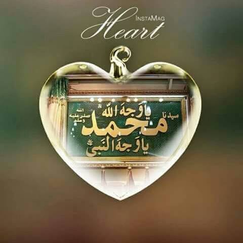 Zee Shan Illustrator