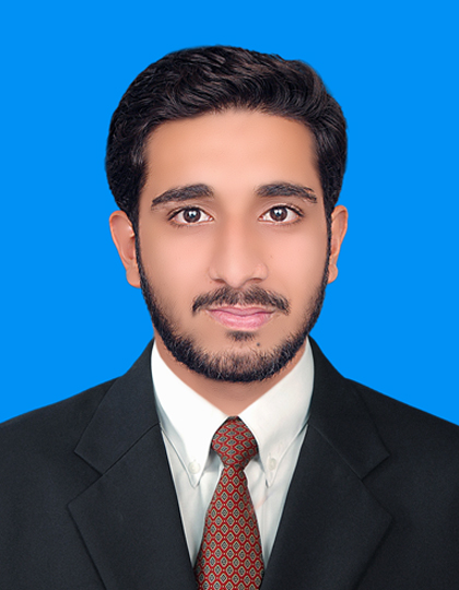 Muhammad Afzal Illustrator