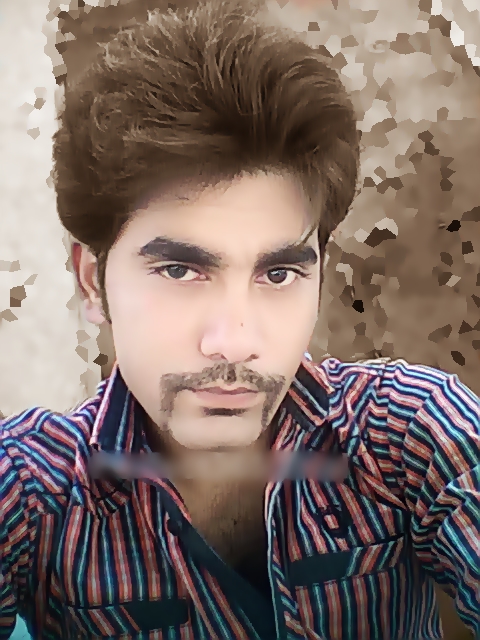 Furqan Ali Data Entry