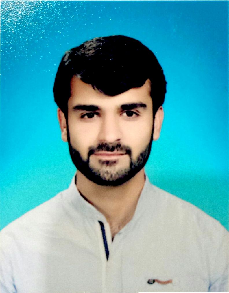 Arslan Haleem Electrical Engineering, Electronics, English (UK), Urdu