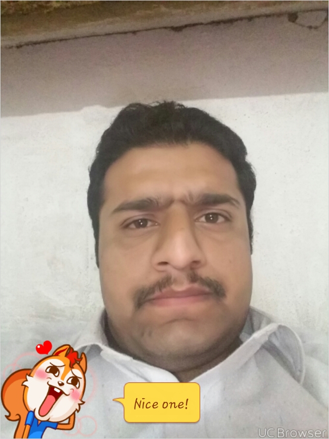 Amir Noor Music, Business Analysis, Business Plans, Entrepreneurship, Project Management