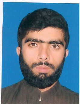 Haneef Muhammad Human Resources, Finance, Business Plans, Project Management