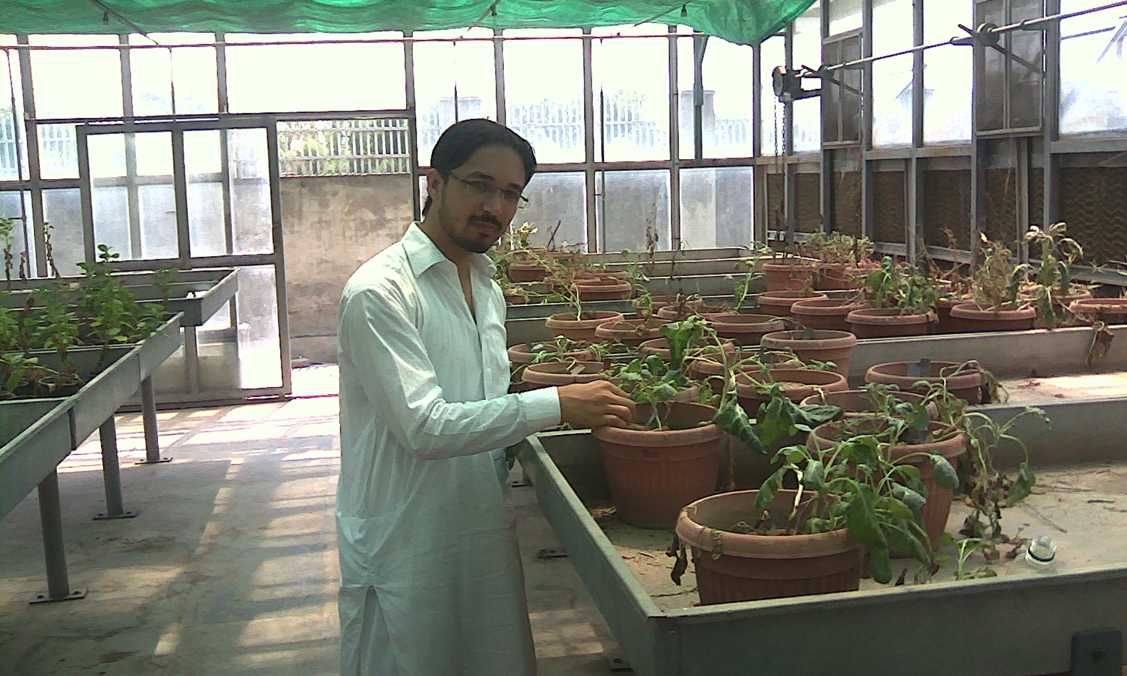 Zeeshan Ali Biotechnology