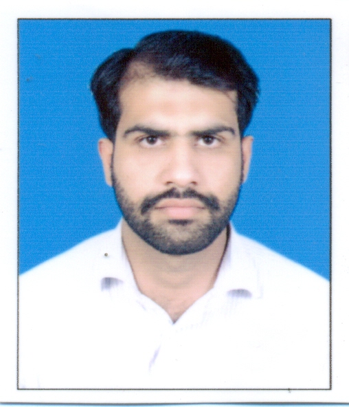 Mian Javed Construction Monitoring