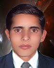 Imran Ali Data Entry