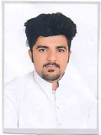 Danish Ali Business Plans