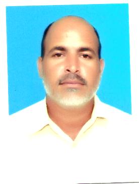 TAHIR MAHMOOD Data Entry