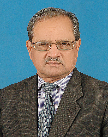 Ansar Hussain Proposal/Bid Writing