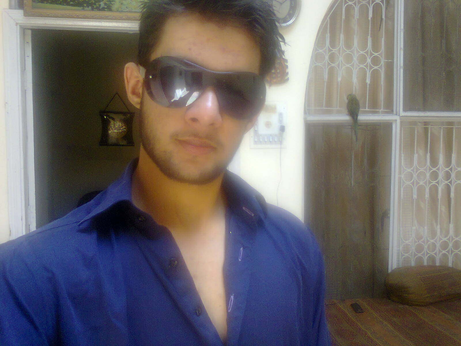 Tahir Mehmood Profile Tahir Mehmood Profile