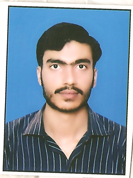 Muhammad Usman English (US), Arabic, Wikipedia, Technical Writing, PDF