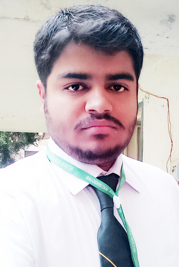 Nadir Atta Qaisrani Energy