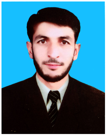 NAJIB ULLAH Construction Monitoring