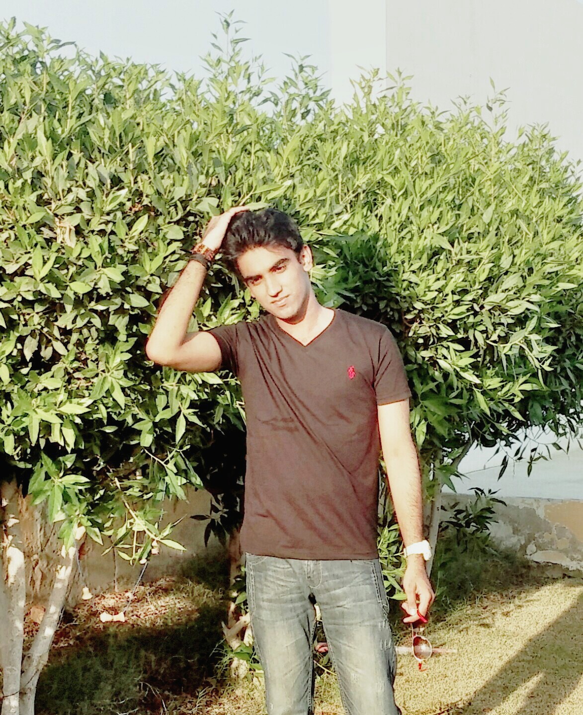 Ali Haider Shah Profile