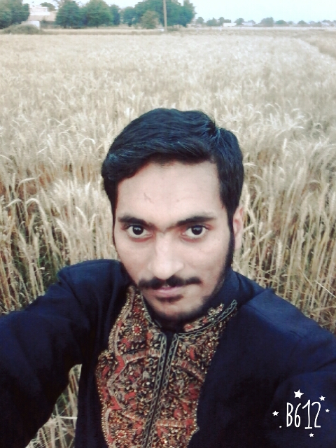 Muhammad Danish Profile