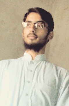 Mirza Abdul Bassit Mughal Profile