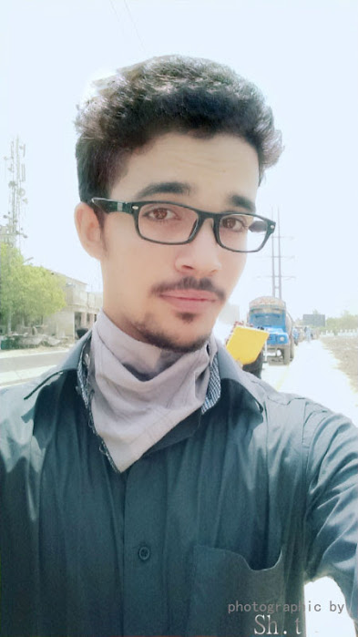 Sheikh Tauseef Data Entry