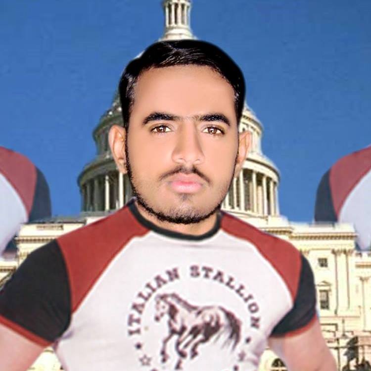 Majid Hussain Music, Photo Editing, Word, Animation, Google SketchUp