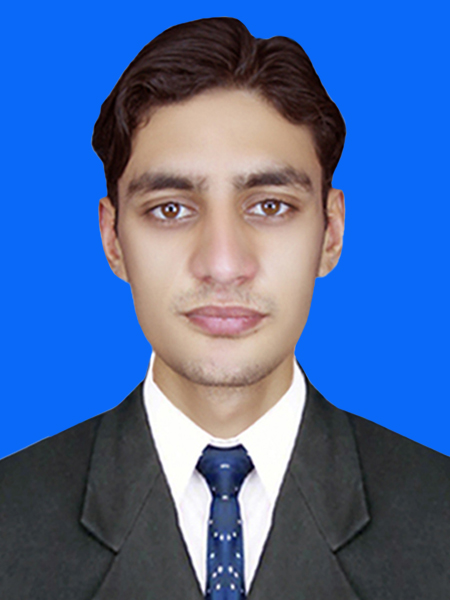 Abbasi Ali Raza Payroll