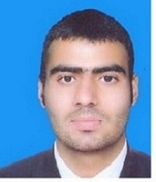 Faisal Saghir Data Entry