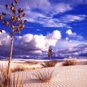 ABDUL QADIR ABDUL QADIR 