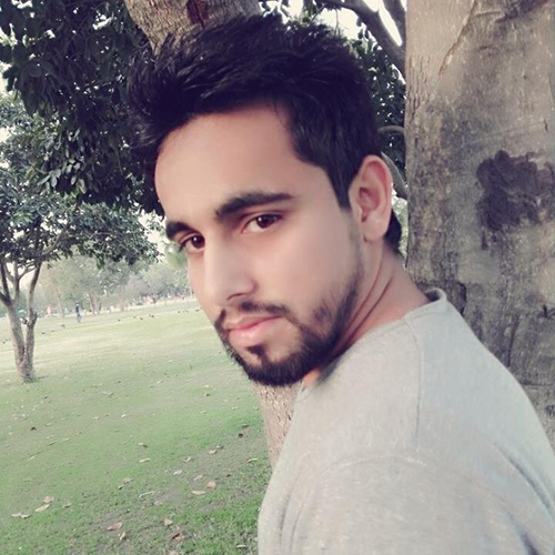 Anees Ali Profile Anees Ali Profile