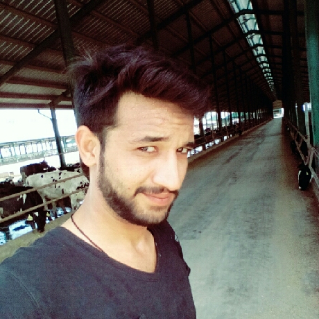 Ansab Ali Raza Profile Ansab Ali Raza Profile